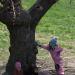L'arbre avec enfants