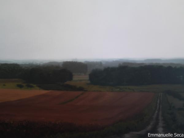 Un paysage de Gerhard Richter